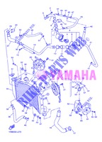 RADIATEUR / DURITES pour Yamaha YZF-R1 de 2013