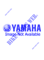 ECHAPPEMENT pour Yamaha XV1600A de 1999