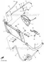 RADIATEUR / DURITES pour Yamaha YZF600R de 2001