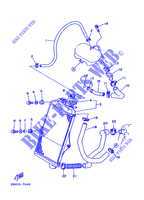 RADIATEUR / DURITES pour Yamaha YFZ350 de 1998