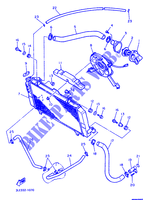 RADIATEUR / DURITES pour Yamaha FZR1000 de 1991