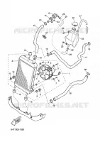 RADIATEUR / DURITES pour Yamaha XQ150 de 2002