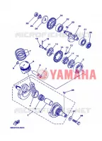 VILEBREQUIN / PISTON pour Yamaha TT-R230 de 2006