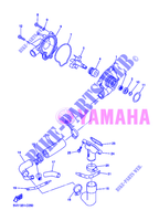 POMPE A EAU / DURITES pour Yamaha FZ6SA de 2007