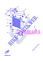 RADIATEUR / DURITES pour Yamaha YQ50 de 2007