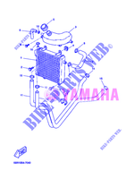 RADIATEUR / DURITES pour Yamaha YQ50L  de 2005