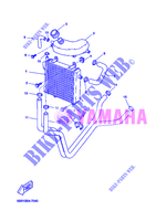 RADIATEUR / DURITES pour Yamaha YQ50 de 2004