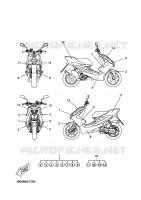 EMBLEME pour Yamaha YQ50L  de 2009