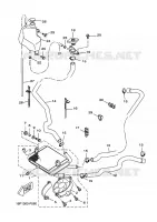 RADIATEUR / DURITES pour Yamaha VP125 de 2009