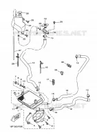RADIATEUR / DURITES pour Yamaha VP125 de 2009