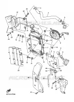 RADIATEUR / DURITES pour Yamaha WR 250 X de 2010