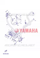 RADIATEUR / DURITES pour Yamaha YP125R de 2012