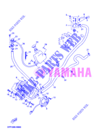 RADIATEUR / DURITES pour Yamaha YP250RA de 2012