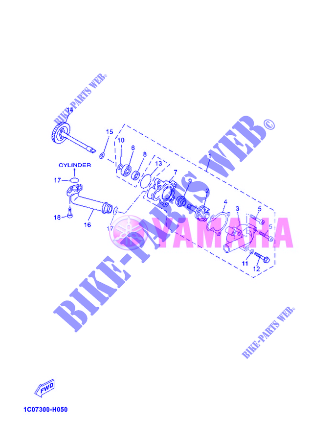 POMPE A EAU / DURITES pour Yamaha YP250RA  de 2012