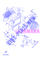 RADIATEUR / DURITES pour Yamaha YQ50 de 2012