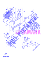 RADIATEUR / DURITES pour Yamaha YN50FU de 2012