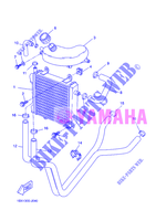RADIATEUR / DURITES pour Yamaha YQ50 de 2012
