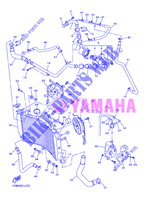 RADIATEUR / DURITES pour Yamaha YZF-R1 de 2012