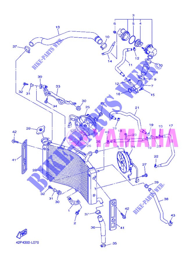 RADIATEUR / DURITES pour Yamaha FZ8S de 2013