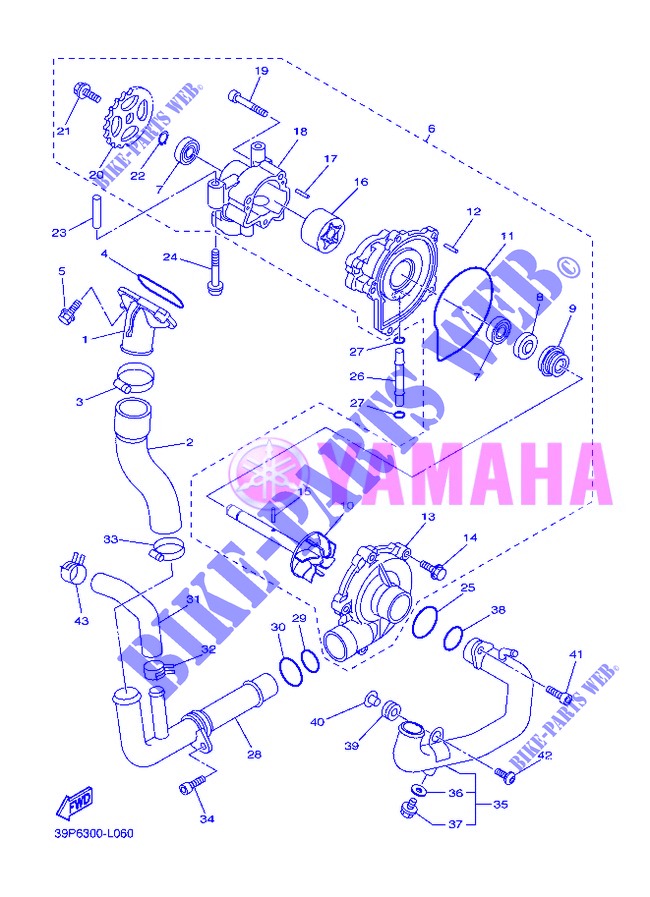 POMPE A EAU / DURITES pour Yamaha FZ8S de 2013