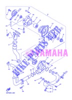 POMPE A EAU / DURITES pour Yamaha FZ8SA de 2013