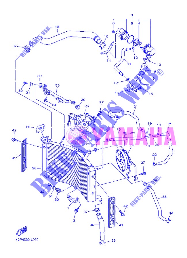 RADIATEUR / DURITES pour Yamaha FZ8SA de 2013