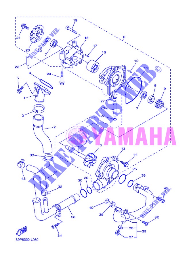 POMPE A EAU / DURITES pour Yamaha FZ8SA de 2013