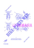 EMBLEME pour Yamaha NS50 de 2013