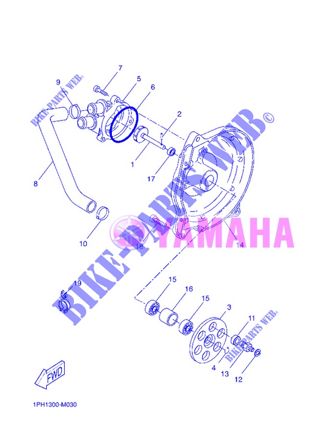 POMPE A EAU / DURITES pour Yamaha NS50 de 2013