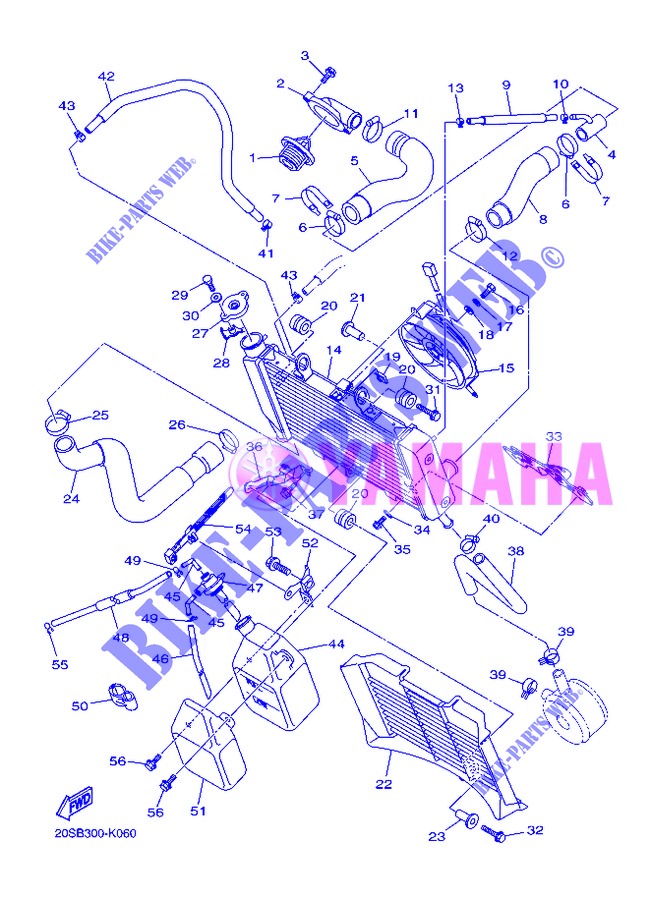 RADIATEUR / DURITES pour Yamaha XJ6N de 2013