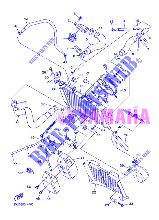 RADIATEUR / DURITES pour Yamaha XJ6N de 2013