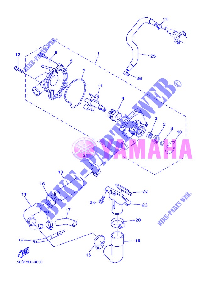 POMPE A EAU / DURITES pour Yamaha XJ6NA de 2013
