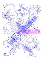 RADIATEUR / DURITES pour Yamaha DIVERSION 600 de 2013