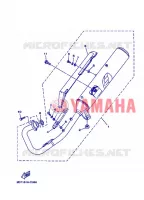 ECHAPPEMENT pour Yamaha YBR125EGS de 2013