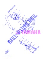POMPE A EAU / DURITES pour Yamaha NS50N de 2013
