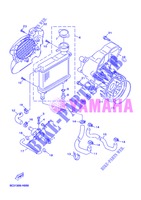 RADIATEUR / DURITES pour Yamaha YN50F de 2013