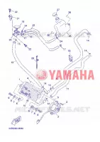 RADIATEUR / DURITES pour Yamaha YP125R de 2013