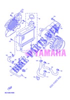 RADIATEUR / DURITES pour Yamaha YN50FU de 2013