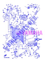 RADIATEUR / DURITES pour Yamaha YZF-R6 de 2013