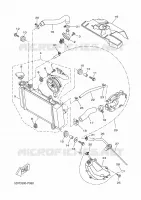 RADIATEUR / DURITES pour Yamaha MT 125 ABS de 2015