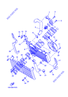 RADIATEUR / DURITES pour Yamaha XT660X de 2014