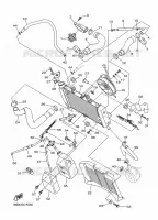 RADIATEUR / DURITES pour Yamaha XJ6 N ABS de 2016