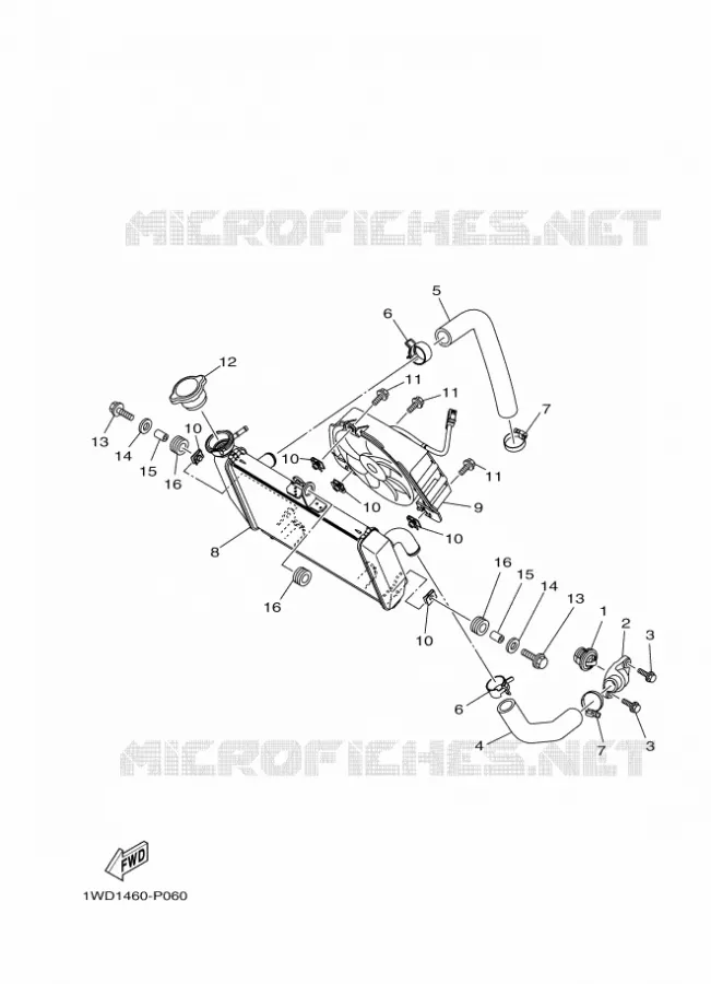 RADIATEUR / DURITES Yamaha MOTO 300 2016 R3  YZF-R3A