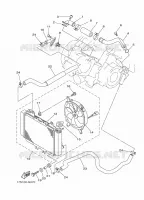 RADIATEUR / DURITES pour Yamaha GRIZZLY 450 IRS INDEPENDANT REAR SUSPENSION de 2016