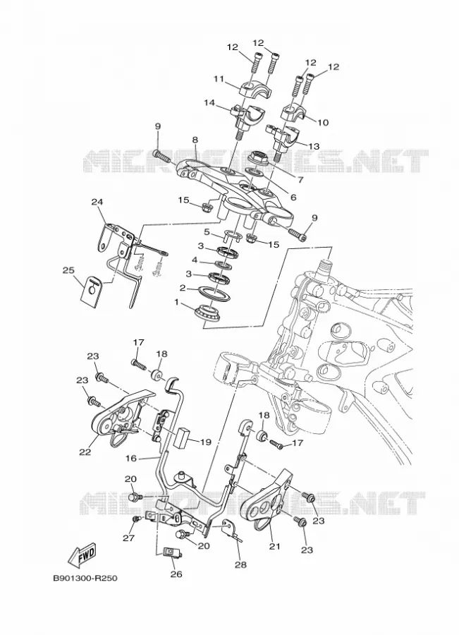 DIRECTION Yamaha MOTO 850 2016 XSR  MTM850