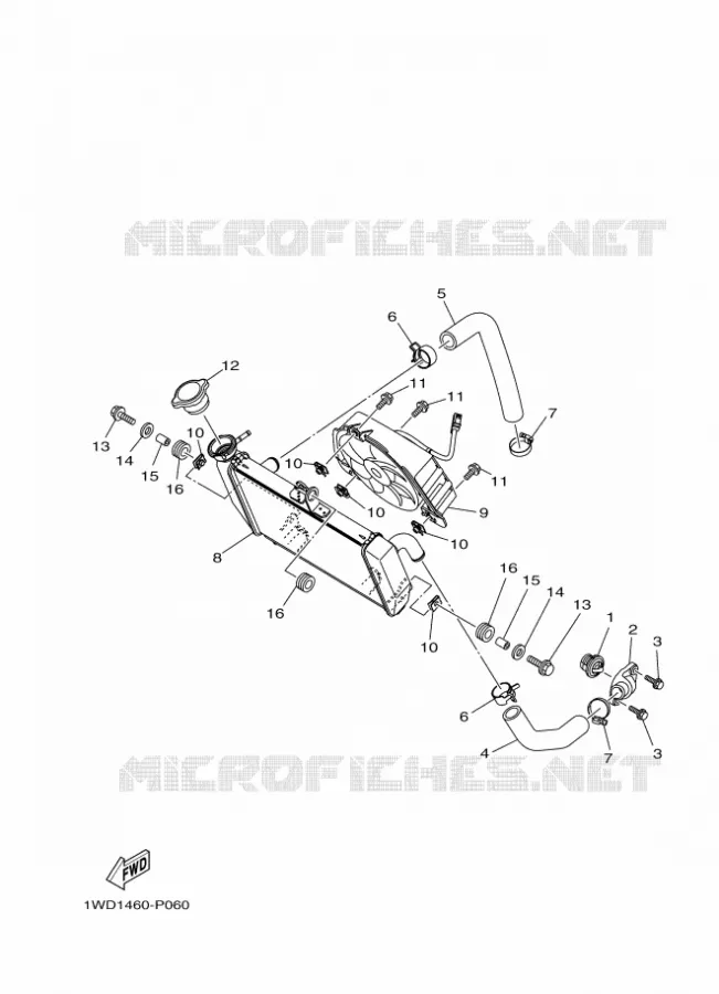 RADIATEUR / DURITES Yamaha MOTO 300 2016 R3  YZF-R3A