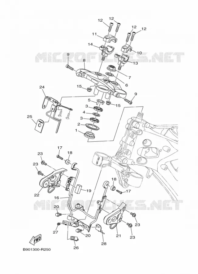 DIRECTION Yamaha MOTO 850 2016 XSR  MTM850