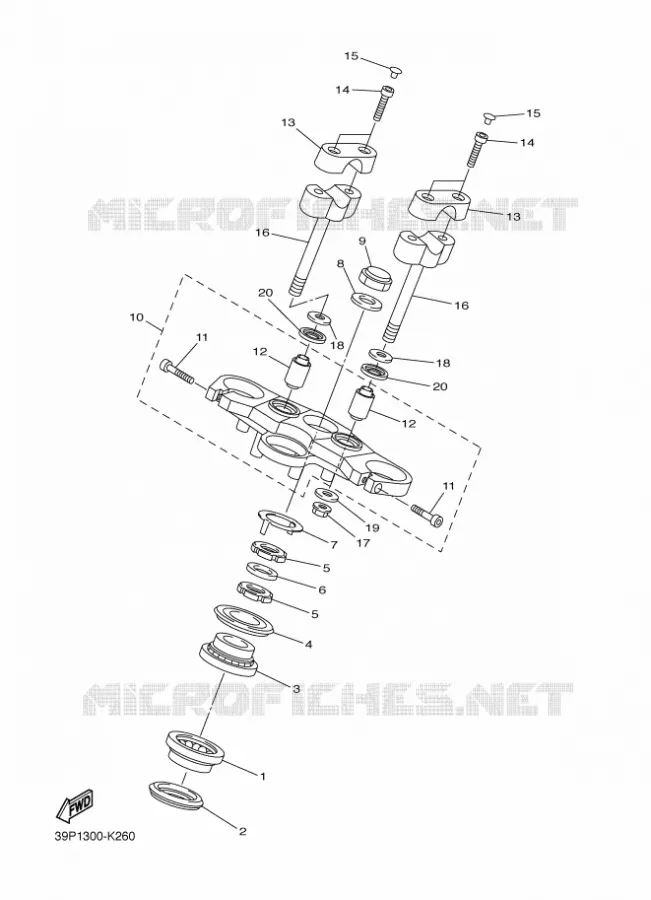 DIRECTION Yamaha MOTO 800 2014 FZ8  FZ8-N