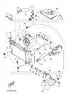RADIATEUR / DURITES pour Yamaha YZF-R 125 de 2010