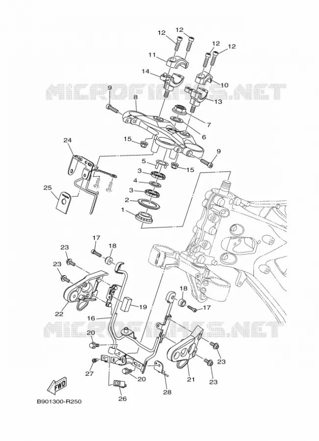 DIRECTION Yamaha MOTO 900 2018 XSR  MTM850